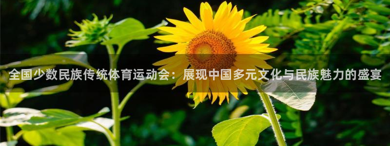 利记官方正版app科技：全国少数民族传统体育运动会：