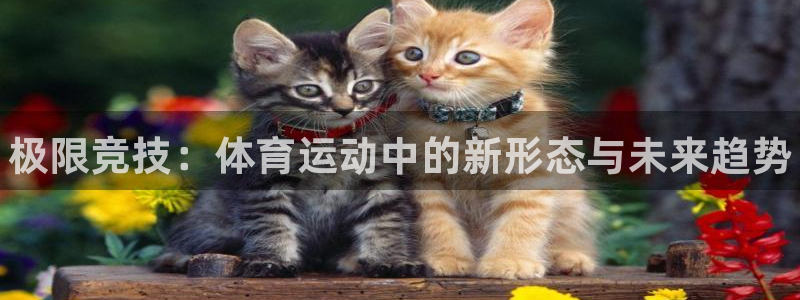 利记官方平台体育：极限竞技：体育运动中的新形态与未来
