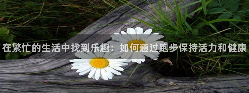 利记官网下载官方客服电话：在繁忙的生活中找到乐趣：如