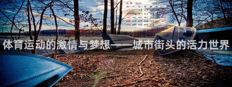 利记官网下载招商电话号码：体育运动的激情与梦想——城