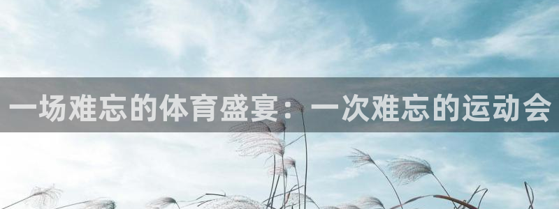 利记官网下载平台假的吗是真的吗吗：一场难忘的体育盛宴