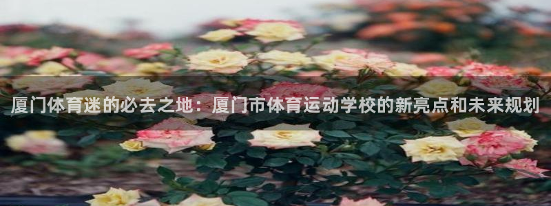 利记官方正版app新能源：厦门体育迷的必去之地：厦门