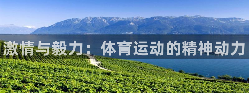 利记官网下载注册：激情与毅力：体育运动的精神动力