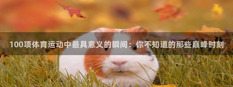 利记官方正版app新能源：100项体育运动中最具意义