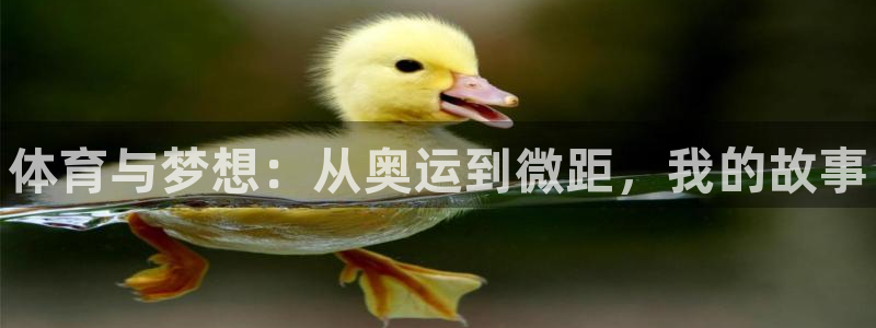 利记官网下载平台假的吗是真的吗吗：体育与梦想：从奥运