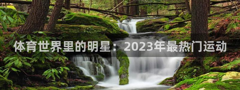 利记官网下载平台假的吗是真的吗：体育世界里的明星：2023年