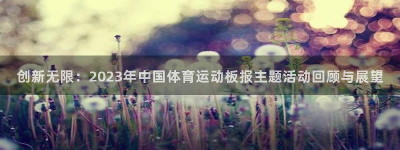 利记官网下载平台注册流程视频：创新无限：2023年中国体育运