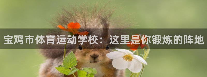 海南利记官网下载：宝鸡市体育运动学校：这里是你锻炼的阵地