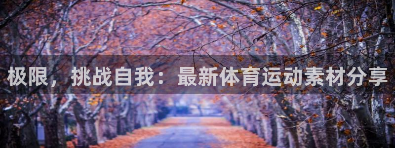 利记官方正版app集团E.ON：极限，挑战自我：最新体育运动