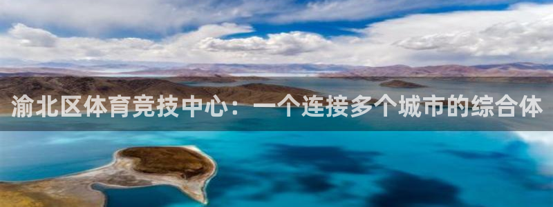 利记官方正版app神州