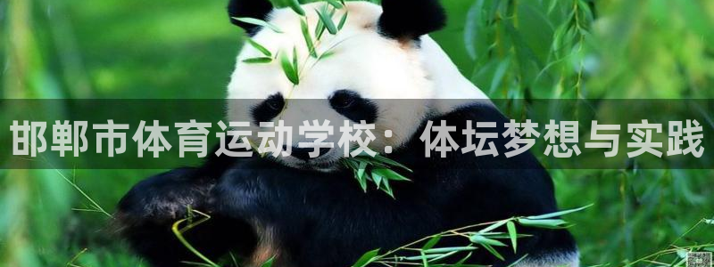 利记官方正版app开户