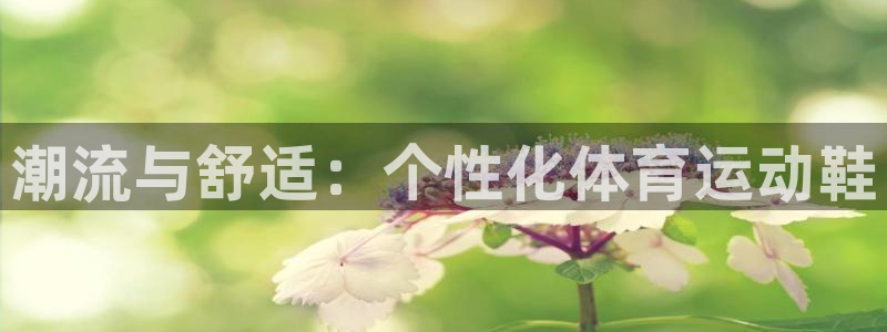 利记官网下载招商电话是多少