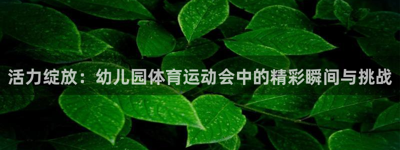 利记官网下载招商电话地址：活力绽放：幼儿园体育运动会中的精彩