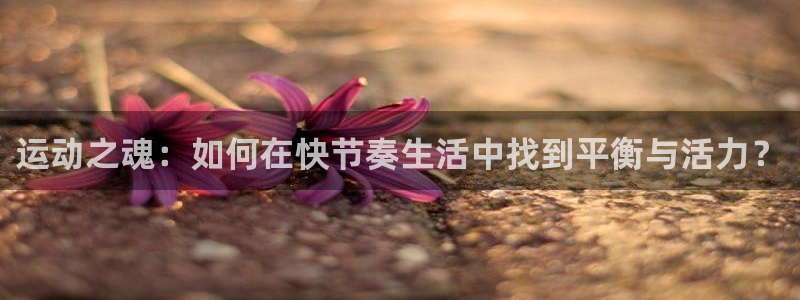 利记官网下载软件：运动之魂：如何在快节奏生活中找到平衡与活力