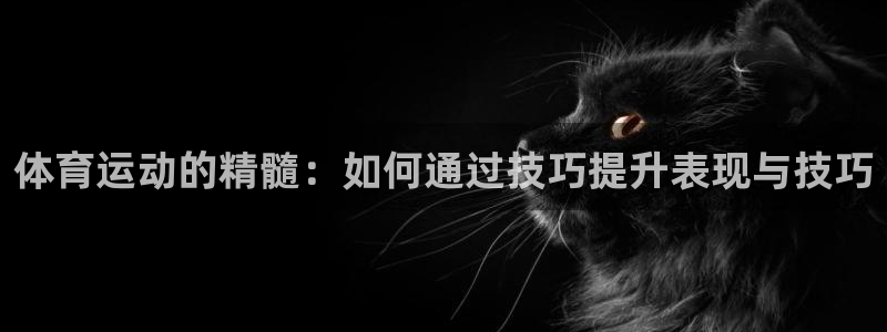 利记官网下载招商：体育运动的精髓：如何通过技巧提升表现与技巧