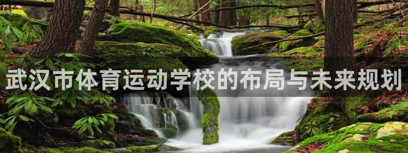 利记官方平台体育：武汉市体育运动学校的布局与未来规划