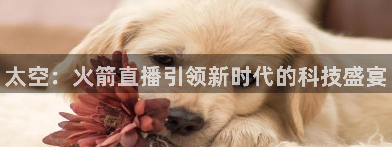 nba劲爆体育直播在哪看：太空：火箭直播引领新时代的科技盛宴