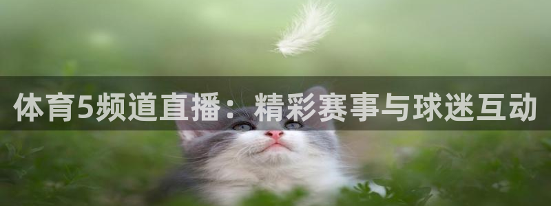 劲爆体育nba在线直播播球帝
