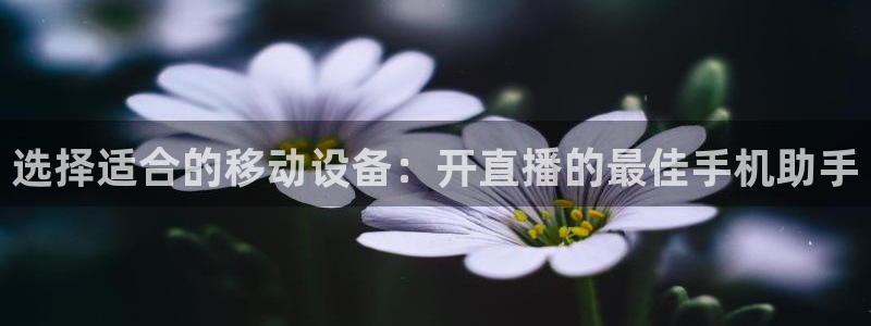 劲爆体育在线直播nba高清观看：选择适合的移动设备：开直播的最佳手机助手