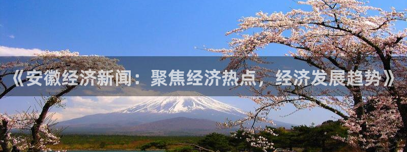 劲爆体育直播免费看