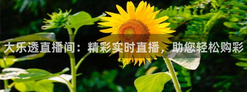 劲爆体育直播免费观看