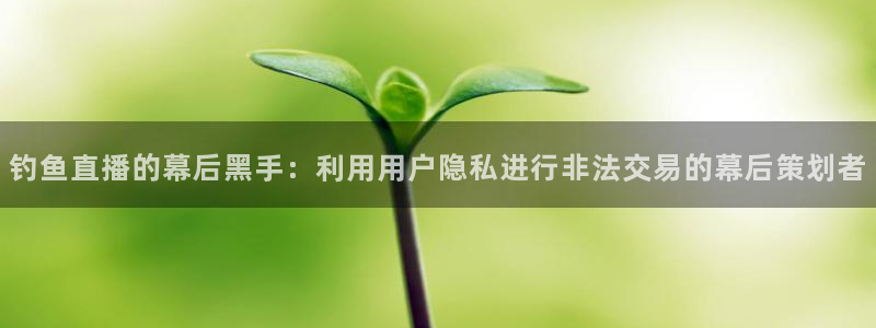 劲爆体育直播单