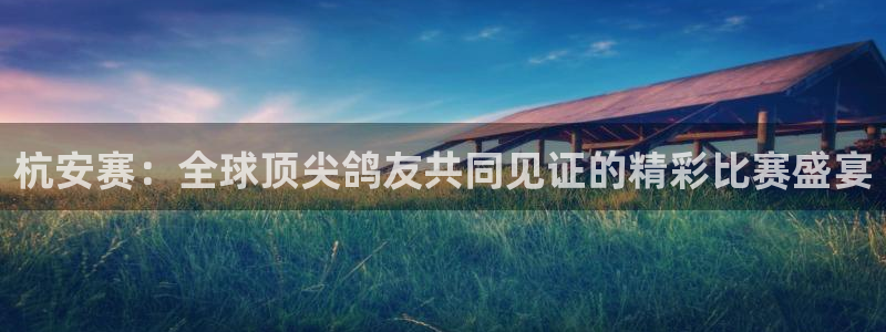 劲爆体育直播免费看：杭安赛：全球顶尖鸽友共同见证的精彩比赛盛宴