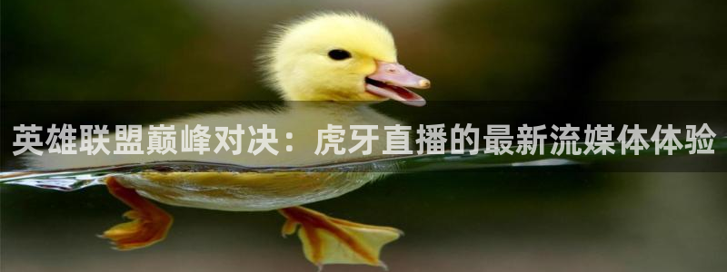 劲爆体育电视台直播：英雄联盟巅峰对决：虎牙直播的最新流媒体体验