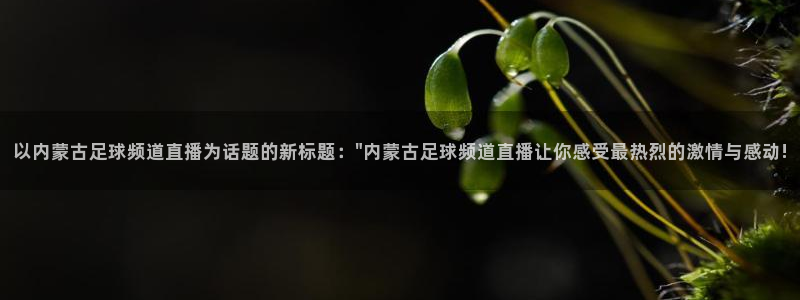 劲爆体育直播在线观看高清：以内蒙古足球频道直播为话题的新标题：\