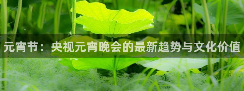 劲爆体育nba直播在线观看：元宵节：央视元宵晚会的最新趋势与文化价值